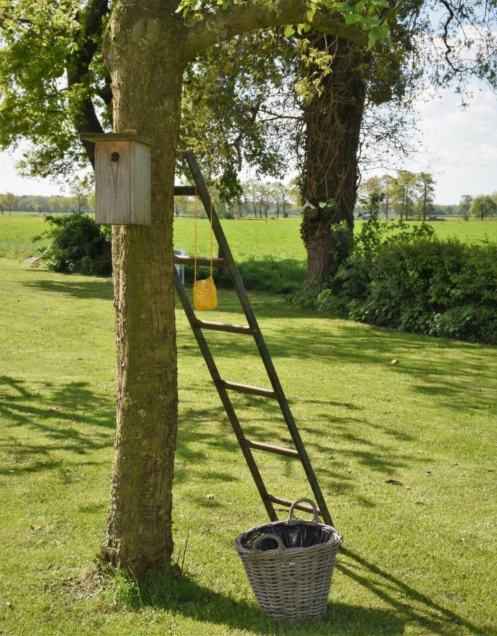 De Beddestee Ruinen Bagian luar foto